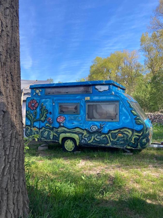 Camping Rogowo Mrzeżyno Pokoj fotografie