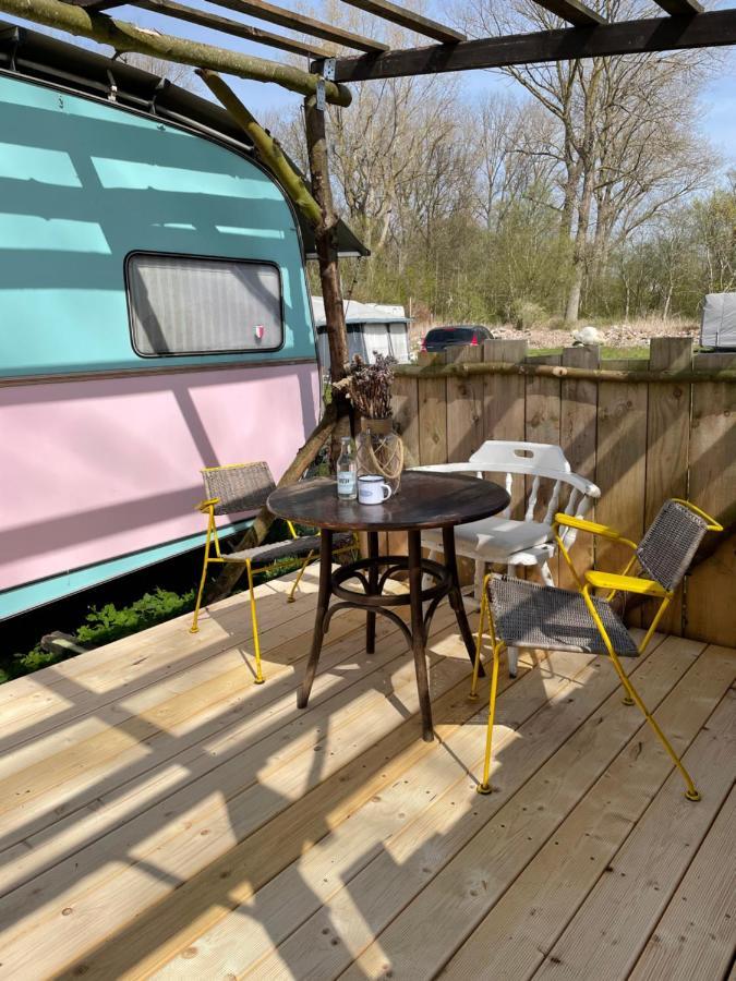 Camping Rogowo Mrzeżyno Exteriér fotografie