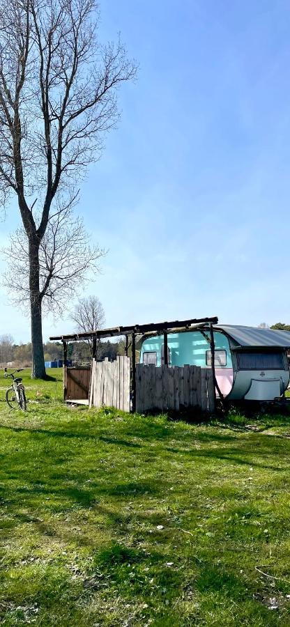 Camping Rogowo Mrzeżyno Exteriér fotografie