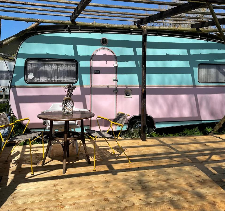 Camping Rogowo Mrzeżyno Exteriér fotografie