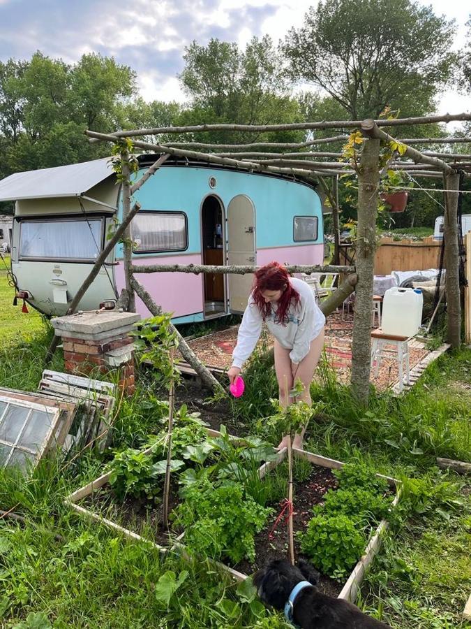 Camping Rogowo Mrzeżyno Exteriér fotografie