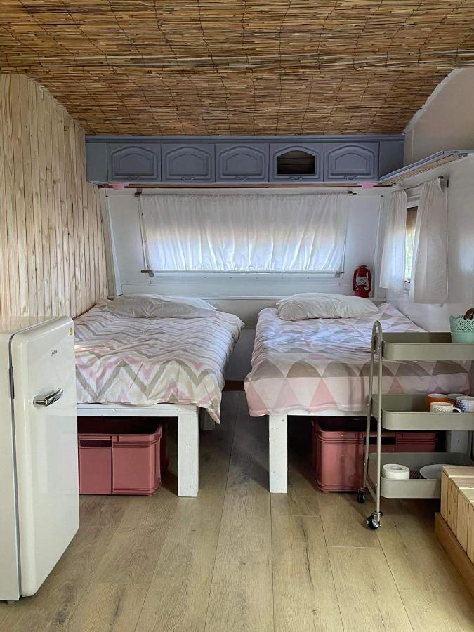 Camping Rogowo Mrzeżyno Exteriér fotografie