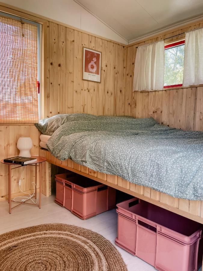 Camping Rogowo Mrzeżyno Exteriér fotografie