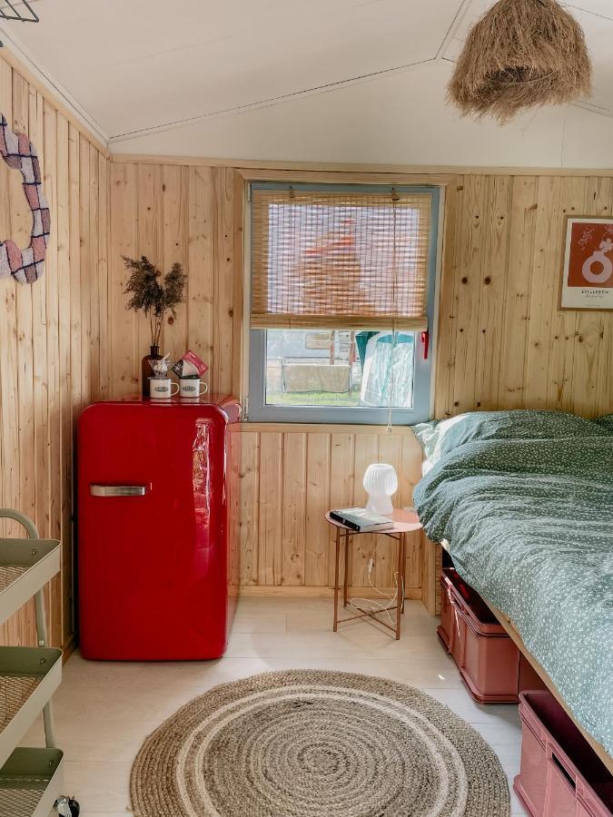 Camping Rogowo Mrzeżyno Exteriér fotografie