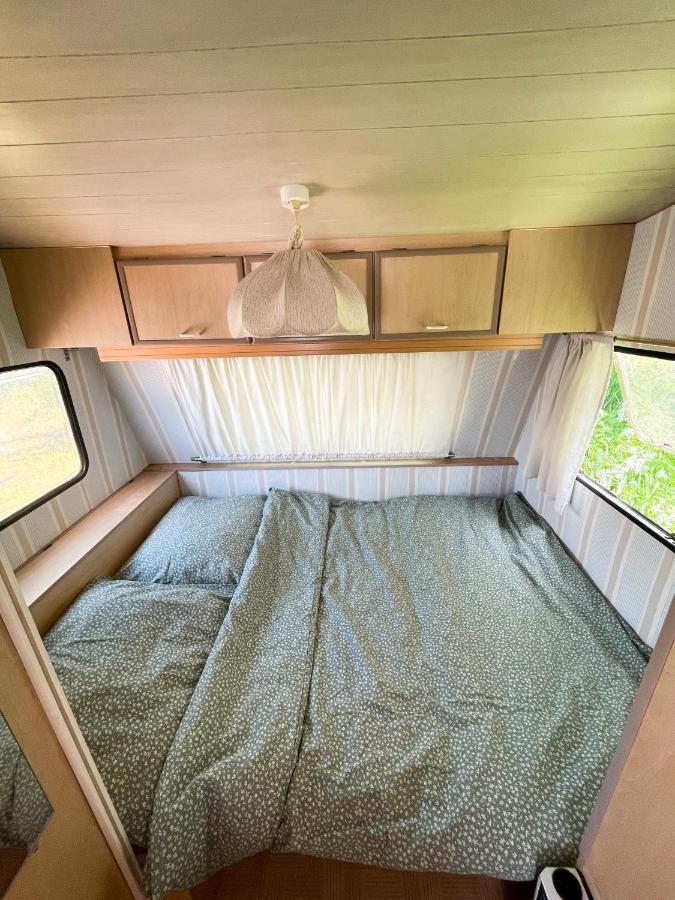 Camping Rogowo Mrzeżyno Exteriér fotografie